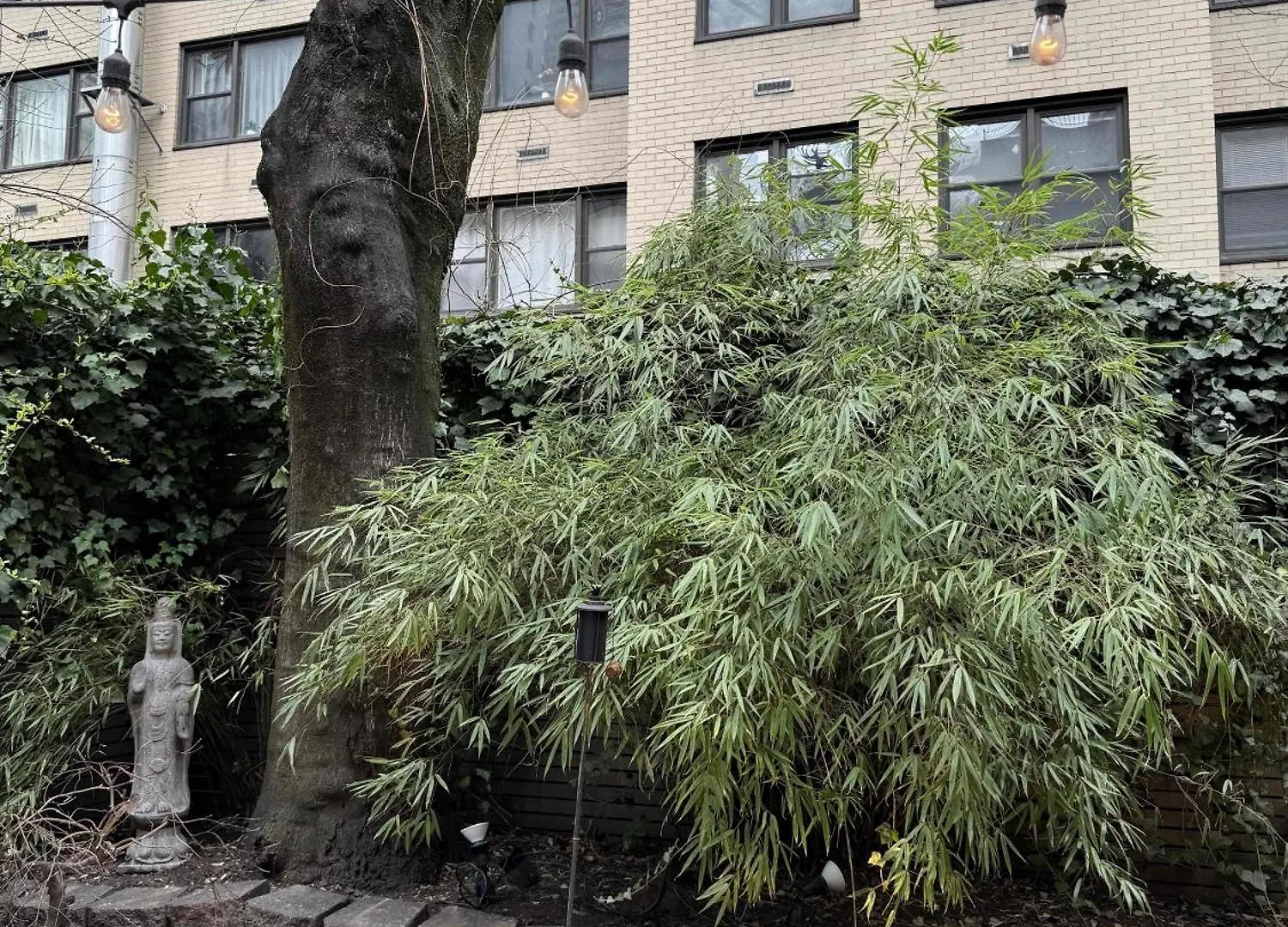 Private Beautiful Townhome W Zen Garden New York United States